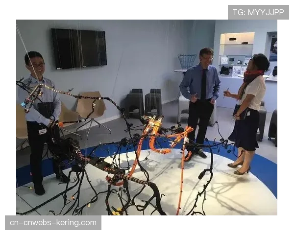 科技与足球传统管理智慧的平衡：从狼堡案例看现代俱乐部运营